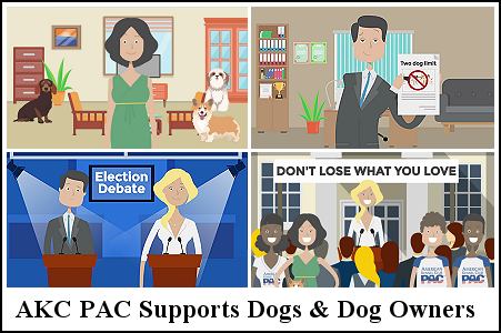 AKC PAC Supports Dogs & Dog Owners