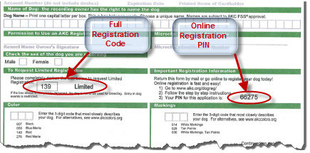 akc online dog registration